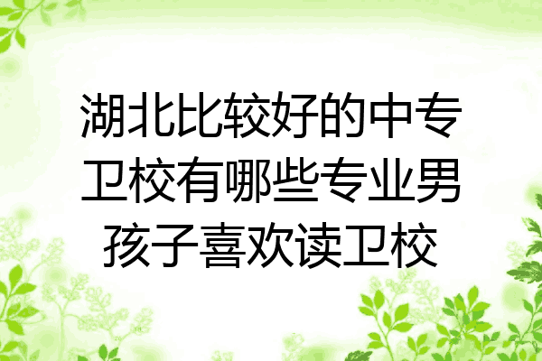 湖北比较好的中专卫校有哪些专业男孩子喜欢读卫校