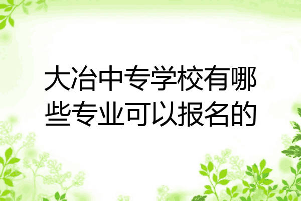 大冶中专学校有哪些专业可以报名的