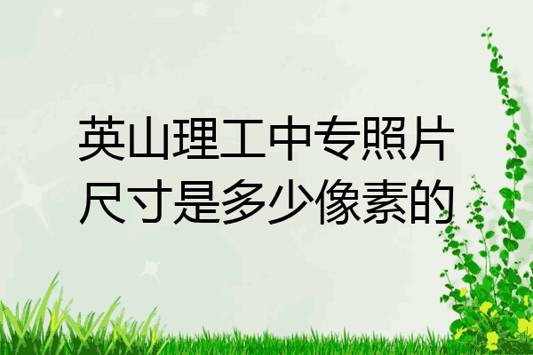 英山理工中专照片尺寸是多少像素的