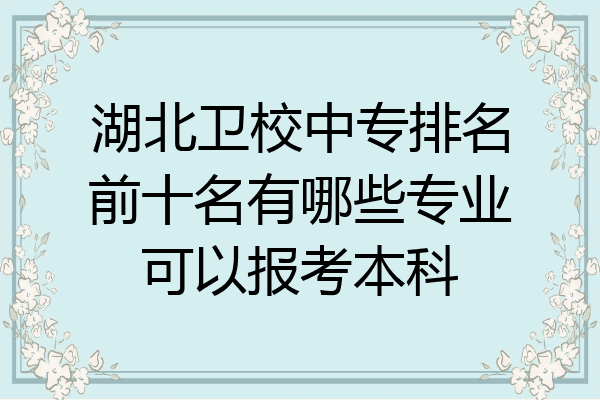 湖北卫校中专排名前十名有哪些专业可以报考本科
