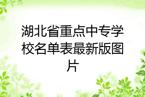 湖北省重点中专学校名单表最新版图片
