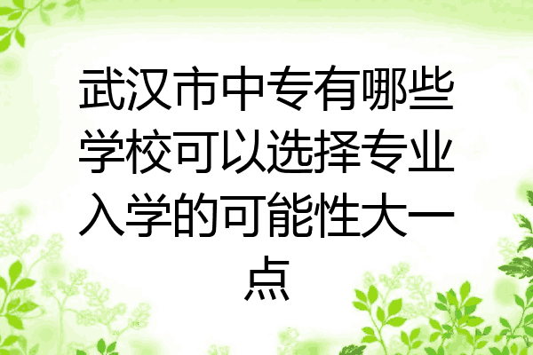武汉市中专有哪些学校可以选择专业入学的可能性大一点