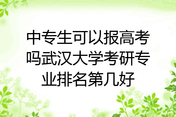 中专生可以报高考吗武汉大学考研专业排名第几好