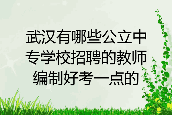 武汉有哪些公立中专学校招聘的教师编制好考一点的