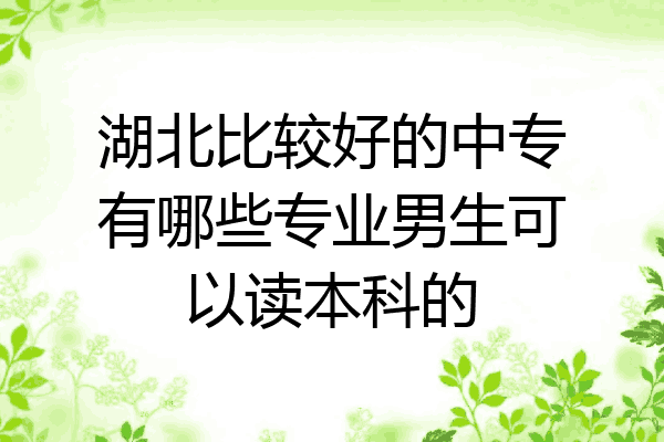 湖北比较好的中专有哪些专业男生可以读本科的