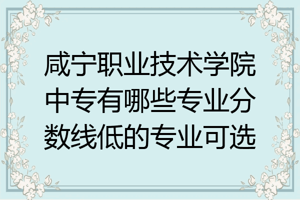 咸宁职业技术学院中专有哪些专业分数线低的专业可选