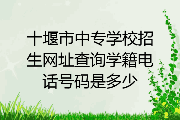 十堰市中专学校招生网址查询学籍电话号码是多少