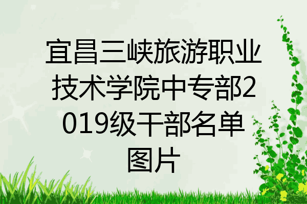 宜昌三峡旅游职业技术学院中专部2019级干部名单图片