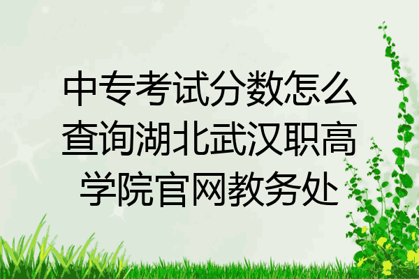 中专考试分数怎么查询湖北武汉职高学院官网教务处
