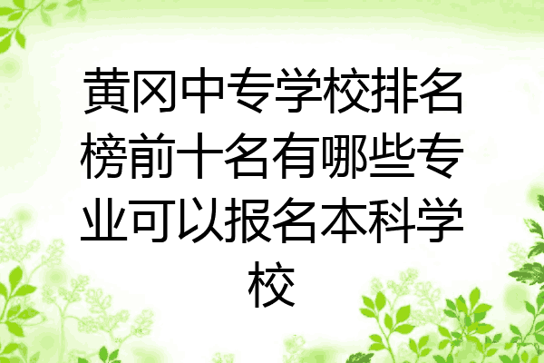 黄冈中专学校排名榜前十名有哪些专业可以报名本科学校