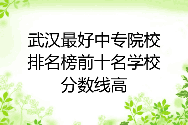 武汉最好中专院校排名榜前十名学校分数线高