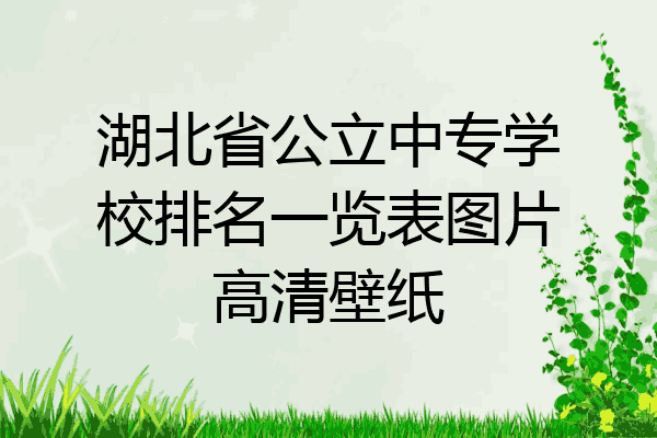 湖北省公立中专学校排名一览表图片高清壁纸