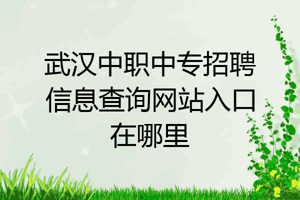 武汉中职中专招聘信息查询网站入口在哪里