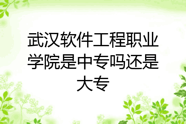 武汉软件工程职业学院是中专吗还是大专