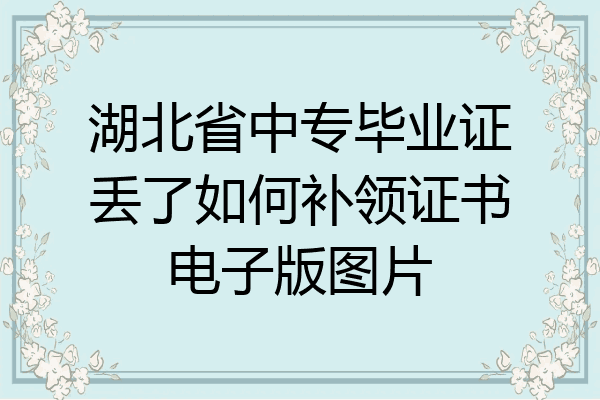 湖北省中专毕业证丢了如何补领证书电子版图片