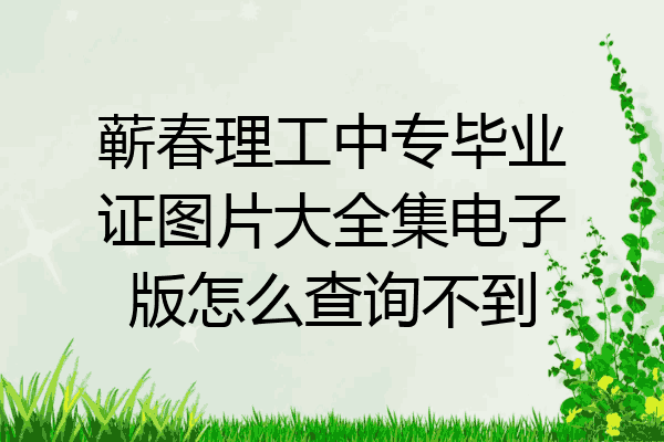蕲春理工中专毕业证图片大全集电子版怎么查询不到