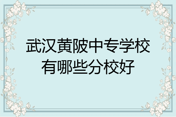 武汉黄陂中专学校有哪些分校好