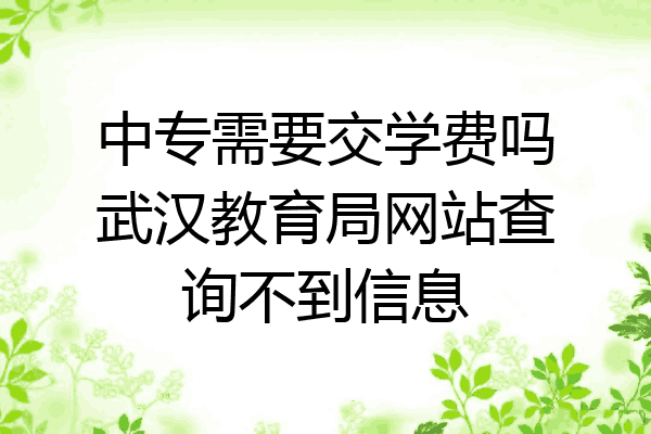 中专需要交学费吗武汉教育局网站查询不到信息