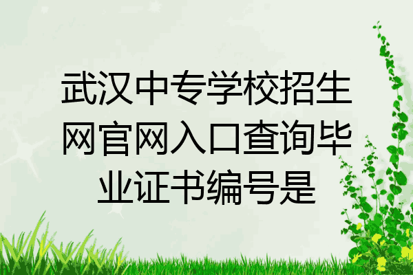 武汉中专学校招生网官网入口查询毕业证书编号是
