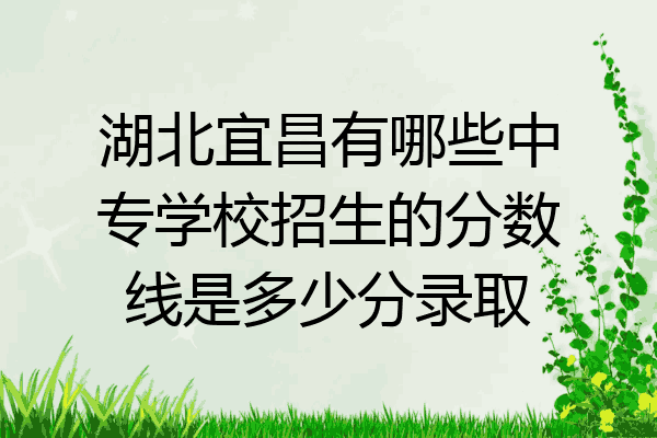 湖北宜昌有哪些中专学校招生的分数线是多少分录取