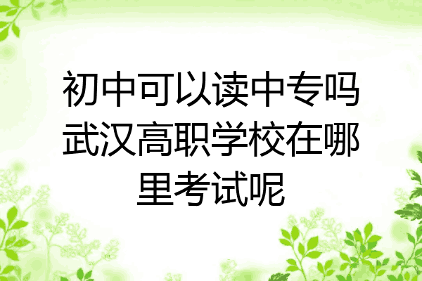 初中可以读中专吗武汉高职学校在哪里考试呢