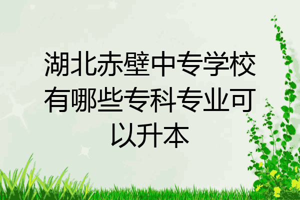 湖北赤壁中专学校有哪些专科专业可以升本