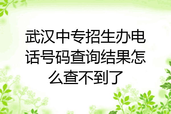 武汉中专招生办电话号码查询结果怎么查不到了