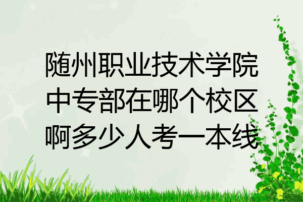 随州职业技术学院中专部在哪个校区啊多少人考一本线