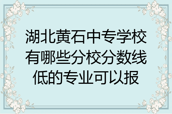 湖北黄石中专学校有哪些分校分数线低的专业可以报