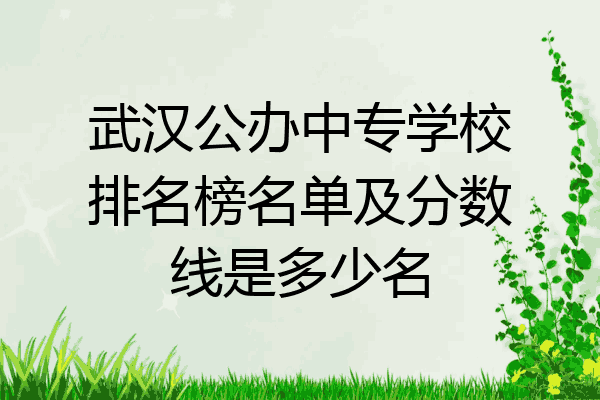 武汉公办中专学校排名榜名单及分数线是多少名