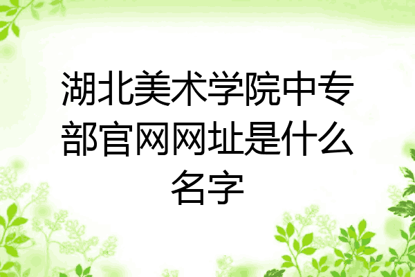 湖北美术学院中专部官网网址是什么名字