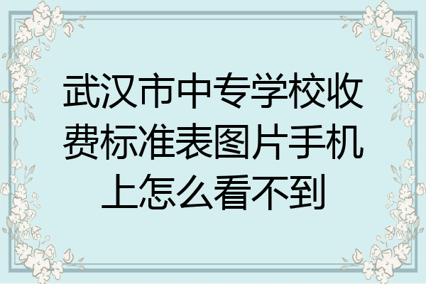 武汉市中专学校收费标准表图片手机上怎么看不到
