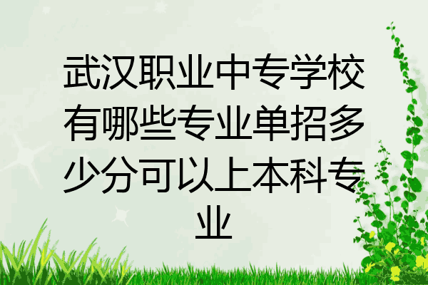武汉职业中专学校有哪些专业单招多少分可以上本科专业