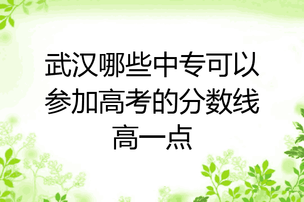 武汉哪些中专可以参加高考的分数线高一点