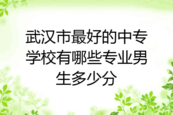 武汉市最好的中专学校有哪些专业男生多少分