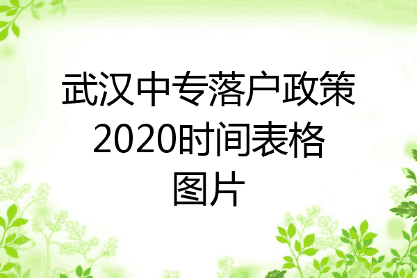 武汉中专落户政策2020时间表格图片