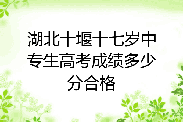 湖北十堰十七岁中专生高考成绩多少分合格