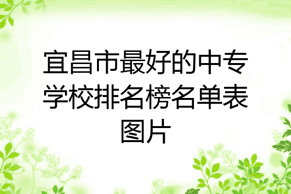 宜昌市最好的中专学校排名榜名单表图片
