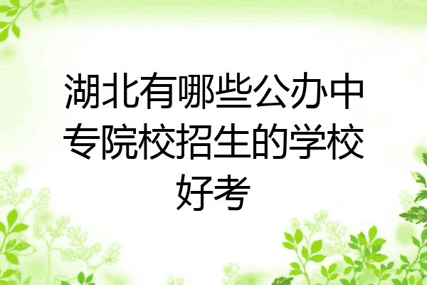 湖北有哪些公办中专院校招生的学校好考