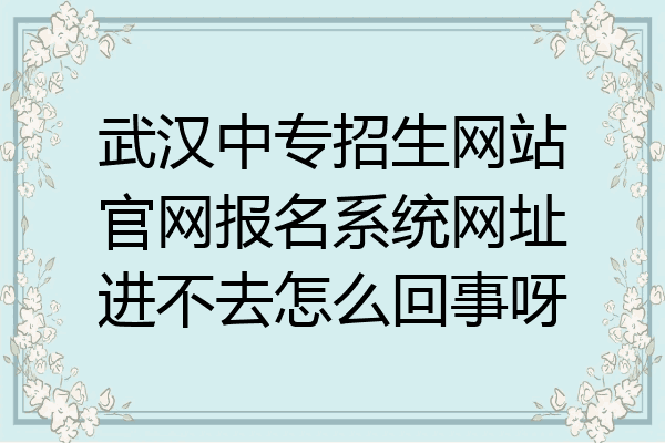 武汉中专招生网站官网报名系统网址进不去怎么回事呀