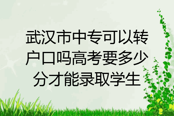 武汉市中专可以转户口吗高考要多少分才能录取学生