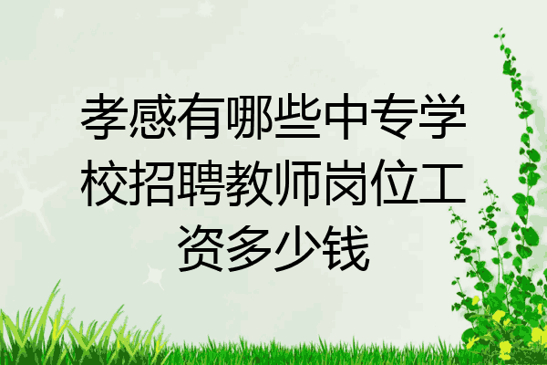 孝感有哪些中专学校招聘教师岗位工资多少钱