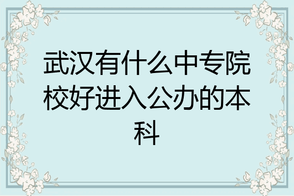 武汉有什么中专院校好进入公办的本科