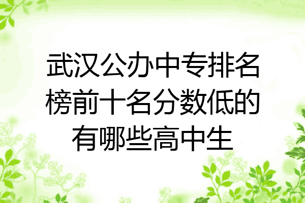 武汉公办中专排名榜前十名分数低的有哪些高中生