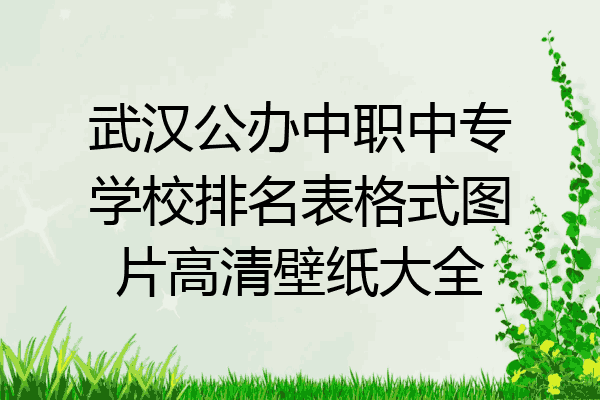 武汉公办中职中专学校排名表格式图片高清壁纸大全