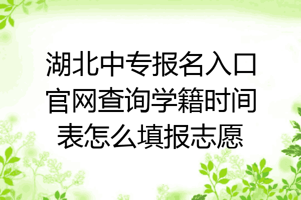 湖北中专报名入口官网查询学籍时间表怎么填报志愿