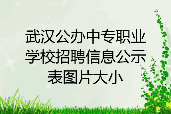 武汉公办中专职业学校招聘信息公示表图片大小