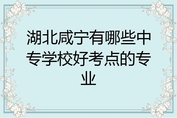 湖北咸宁有哪些中专学校好考点的专业