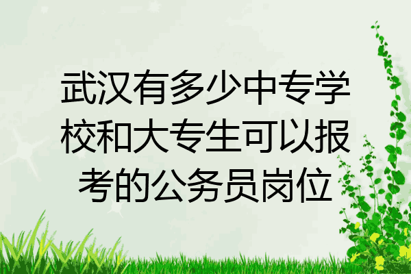 武汉有多少中专学校和大专生可以报考的公务员岗位