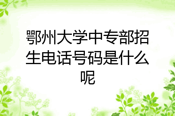 鄂州大学中专部招生电话号码是什么呢